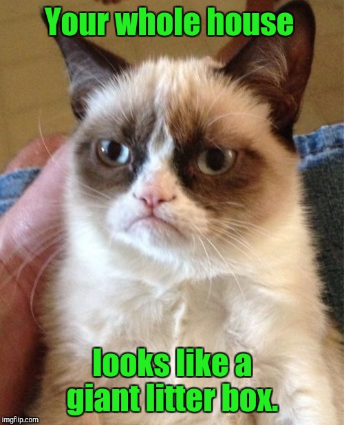 Grumpy Cat Meme | Your whole house looks like a giant litter box. | image tagged in memes,grumpy cat | made w/ Imgflip meme maker