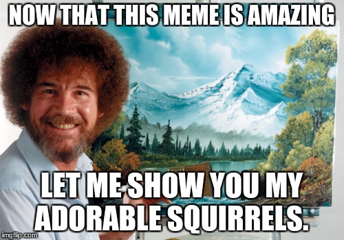NOW THAT THIS MEME IS AMAZING; LET ME SHOW YOU MY ADORABLE SQUIRRELS. | image tagged in bob ross | made w/ Imgflip meme maker
