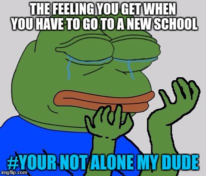 pepe cry | THE FEELING YOU GET WHEN YOU HAVE TO GO TO A NEW SCHOOL; #YOUR NOT ALONE MY DUDE | image tagged in pepe cry | made w/ Imgflip meme maker
