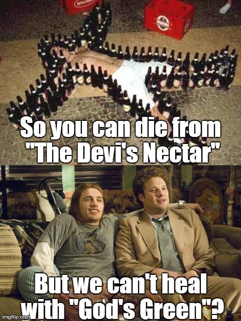 So you can die from "The Devi's Nectar" But we can't heal with "God's Green"? | image tagged in devils nectar vs gods green | made w/ Imgflip meme maker