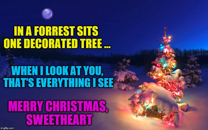 IN A FORREST SITS ONE DECORATED TREE ... WHEN I LOOK AT YOU, THAT'S EVERYTHING I SEE; MERRY CHRISTMAS, SWEETHEART | image tagged in merry christmas,love,true love,christmas tree,christmas | made w/ Imgflip meme maker