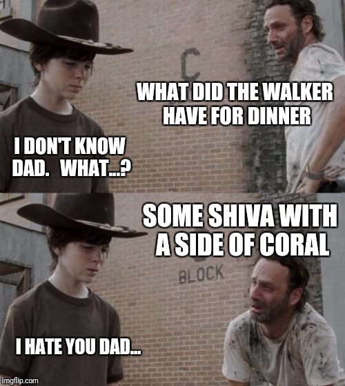 Rick and Carl Meme | WHAT DID THE WALKER HAVE FOR DINNER; I DON'T KNOW DAD.   WHAT...? SOME SHIVA WITH A SIDE OF CORAL; I HATE YOU DAD... | image tagged in memes,rick and carl | made w/ Imgflip meme maker