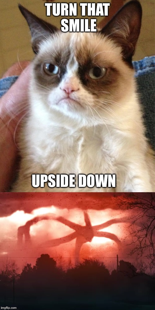 Literally me(ow) | TURN THAT SMILE; UPSIDE DOWN | image tagged in stranger things,grumpy cat,me | made w/ Imgflip meme maker