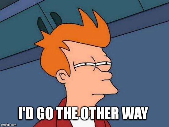Futurama Fry Meme | I'D GO THE OTHER WAY | image tagged in memes,futurama fry | made w/ Imgflip meme maker
