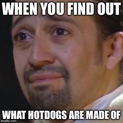 Sad Hamilton | WHEN YOU FIND OUT; WHAT HOTDOGS ARE MADE OF | image tagged in sad hamilton | made w/ Imgflip meme maker