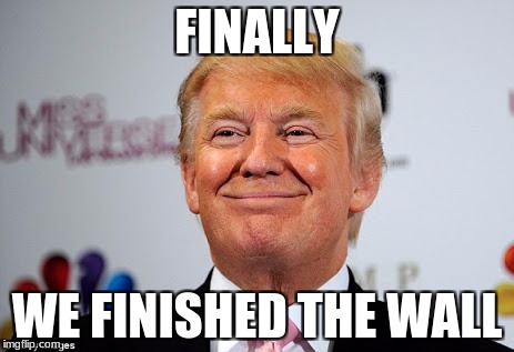 HE FINALLY FINISHED THE WALL!!!! OMG!!!!! (i wish) | FINALLY; WE FINISHED THE WALL | image tagged in donald trump approves | made w/ Imgflip meme maker