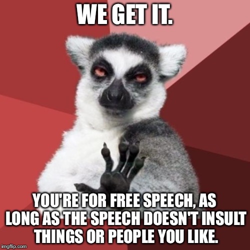 Censorship and so called free speech | WE GET IT. YOU'RE FOR FREE SPEECH, AS LONG AS THE SPEECH DOESN'T INSULT THINGS OR PEOPLE YOU LIKE. | image tagged in memes,chill out lemur,censorship,political correctness,free speech,protest | made w/ Imgflip meme maker