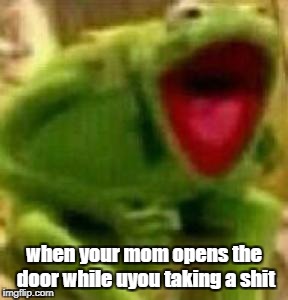 kermit screaming | when your mom opens the door while uyou taking a shit | image tagged in funny,memes,kermit the frog,screaming,lmao,lmfao | made w/ Imgflip meme maker