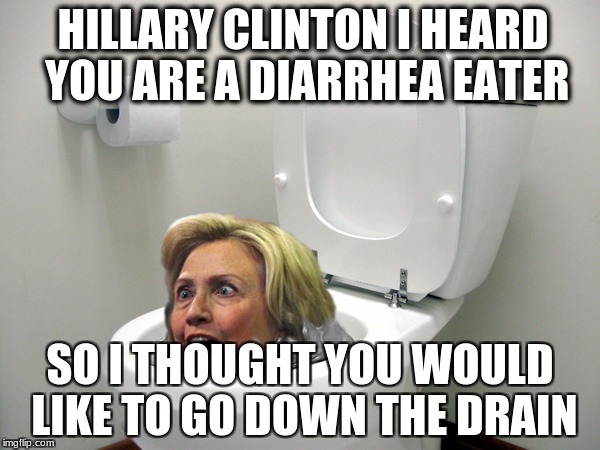 HILLARY CLINTON I HEARD YOU ARE A DIARRHEA EATER; SO I THOUGHT YOU WOULD LIKE TO GO DOWN THE DRAIN | image tagged in hillary down the toilet | made w/ Imgflip meme maker