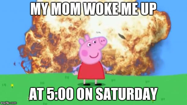Epic Peppa Pig. | MY MOM WOKE ME UP; AT 5:00 ON SATURDAY | image tagged in epic peppa pig | made w/ Imgflip meme maker