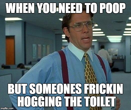 That Would Be Great Meme | WHEN YOU NEED TO POOP; BUT SOMEONES FRICKIN HOGGING THE TOILET | image tagged in memes,that would be great | made w/ Imgflip meme maker