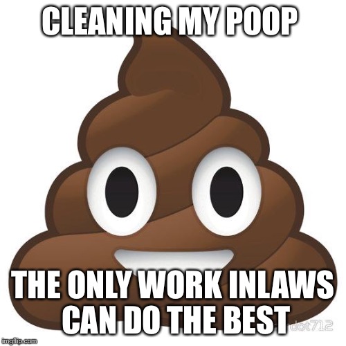 poop | CLEANING MY POOP; THE ONLY WORK INLAWS CAN DO THE BEST | image tagged in poop | made w/ Imgflip meme maker