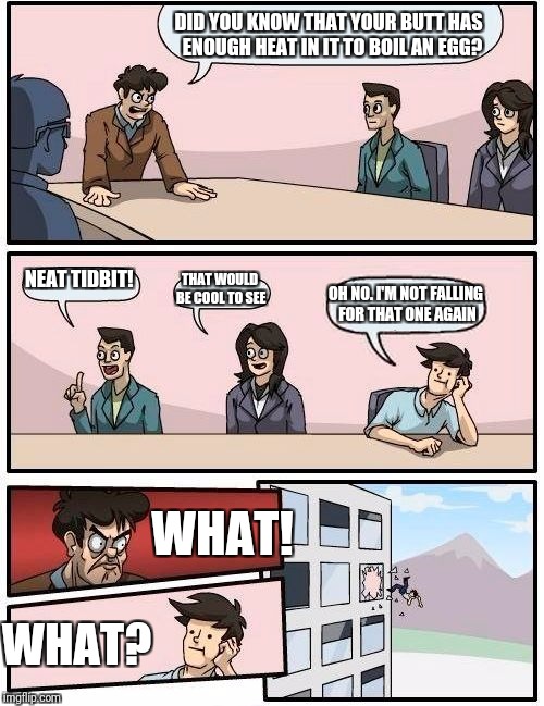 Boardroom Meeting Suggestion Meme | DID YOU KNOW THAT YOUR BUTT HAS  ENOUGH HEAT IN IT TO BOIL AN EGG? NEAT TIDBIT! THAT WOULD BE COOL TO SEE; OH NO. I'M NOT FALLING FOR THAT ONE AGAIN; WHAT! WHAT? | image tagged in memes,boardroom meeting suggestion | made w/ Imgflip meme maker
