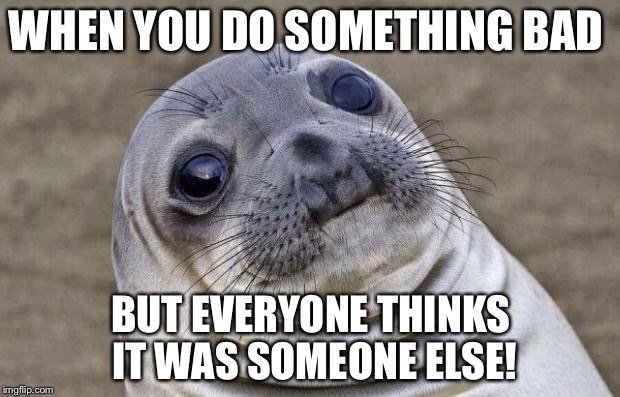 Awkward Moment Sealion Meme | WHEN YOU DO SOMETHING BAD; BUT EVERYONE THINKS IT WAS SOMEONE ELSE! | image tagged in memes,awkward moment sealion | made w/ Imgflip meme maker