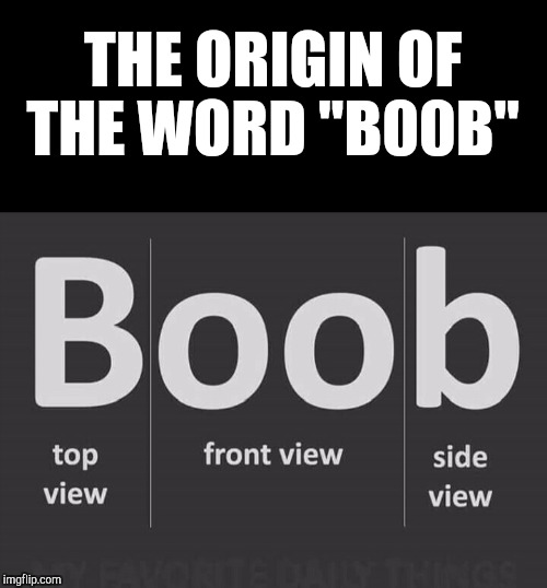So that's how they got their name... | THE ORIGIN OF THE WORD "B00B" | image tagged in jbmemegeek,funny memes,puns,silly | made w/ Imgflip meme maker