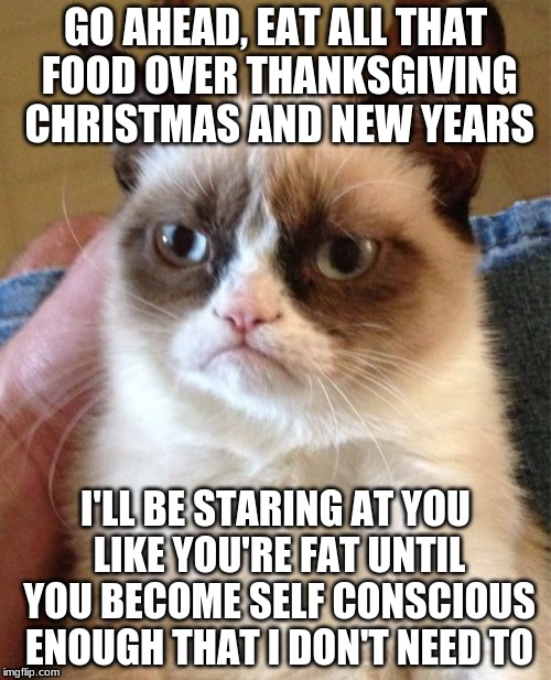 Also any other holidays...a cats true purpose in life. | GO AHEAD, EAT ALL THAT FOOD OVER THANKSGIVING CHRISTMAS AND NEW YEARS; I'LL BE STARING AT YOU LIKE YOU'RE FAT UNTIL YOU BECOME SELF CONSCIOUS ENOUGH THAT I DON'T NEED TO | image tagged in memes,grumpy cat | made w/ Imgflip meme maker