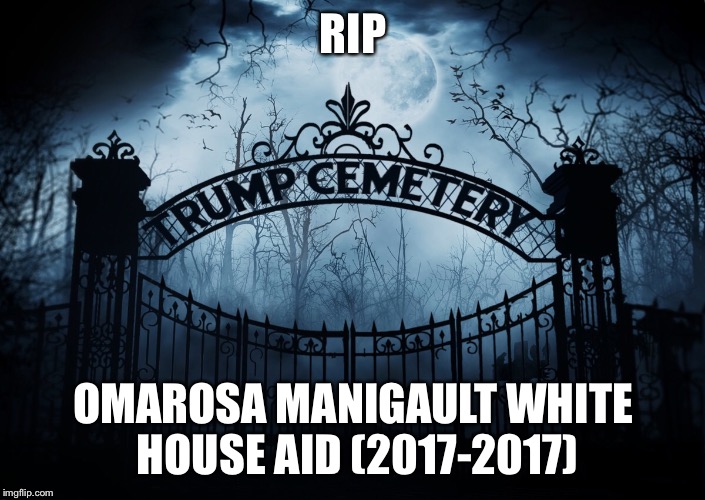 RIP Omarosa  | RIP; OMAROSA MANIGAULT WHITE HOUSE AID (2017-2017) | image tagged in omarosa,donald trump,rip | made w/ Imgflip meme maker
