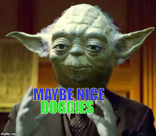 Yoda Aliens | MAYBE NICE DOGGIES | image tagged in yoda aliens | made w/ Imgflip meme maker