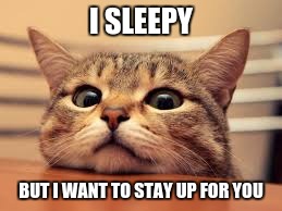 I sleepy | I SLEEPY; BUT I WANT TO STAY UP FOR YOU | image tagged in sleepy,cat | made w/ Imgflip meme maker