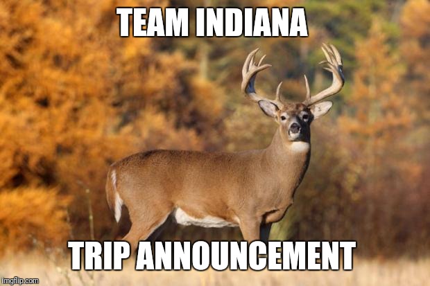 whitetail deer | TEAM INDIANA; TRIP ANNOUNCEMENT | image tagged in whitetail deer | made w/ Imgflip meme maker