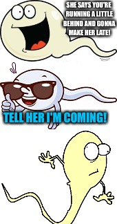 Wearing tails tonight | SHE SAYS YOU'RE RUNNING A LITTLE BEHIND AND GONNA MAKE HER LATE! TELL HER I'M COMING! | image tagged in sperm and egg,pregnancy,double meaning | made w/ Imgflip meme maker