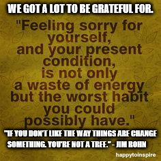 “We are what we repeatedly do. Excellence, then, is not an act, but a habit.”― Aristotle  | WE GOT A LOT TO BE GRATEFUL FOR. "IF YOU DON'T LIKE THE WAY THINGS ARE CHANGE SOMETHING. YOU'RE NOT A TREE." - JIM ROHN | image tagged in memes,philosophy,positive thinking | made w/ Imgflip meme maker