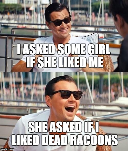 The Weirdest Meme on The Internet
 | I ASKED SOME GIRL IF SHE LIKED ME; SHE ASKED IF I LIKED DEAD RACOONS | image tagged in memes,leonardo dicaprio wolf of wall street | made w/ Imgflip meme maker