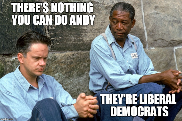 Therefore it's OK.  | THERE'S NOTHING YOU CAN DO ANDY; THEY'RE LIBERAL DEMOCRATS | image tagged in shawshank,rape,liberal hypocrisy,sexual harassment,funny memes | made w/ Imgflip meme maker