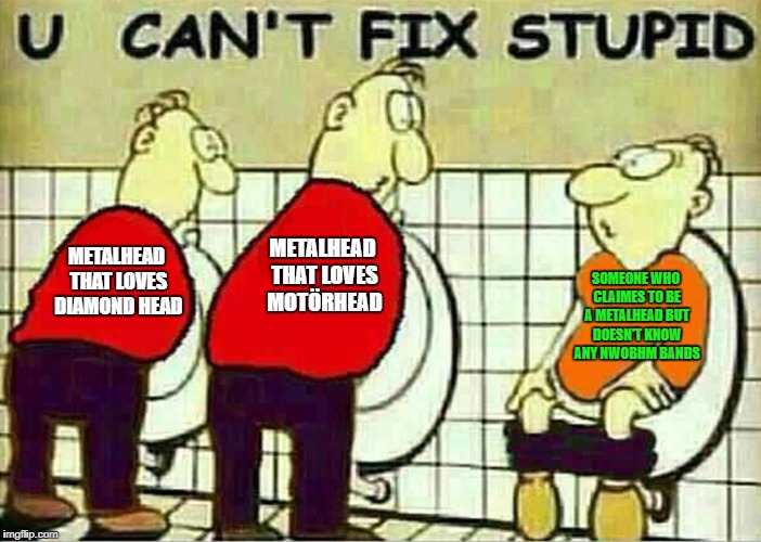 U Can't Fix Stupid | METALHEAD THAT LOVES MOTÖRHEAD; METALHEAD THAT LOVES DIAMOND HEAD; SOMEONE WHO CLAIMES TO BE A METALHEAD BUT DOESN'T KNOW ANY NWOBHM BANDS | image tagged in u can't fix stupid,you can't fix stupid,heavy metal,metalhead,metal,motorhead | made w/ Imgflip meme maker