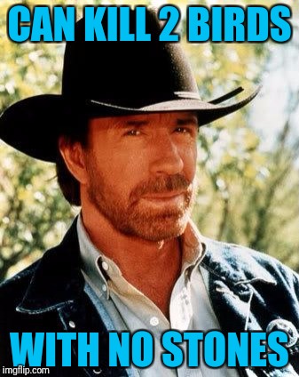 Must be a beast at hunting | CAN KILL 2 BIRDS; WITH NO STONES | image tagged in memes,chuck norris | made w/ Imgflip meme maker