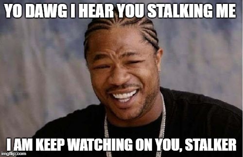 Yo Dawg Heard You Meme | YO DAWG I HEAR YOU STALKING ME; I AM KEEP WATCHING ON YOU, STALKER | image tagged in memes,yo dawg heard you | made w/ Imgflip meme maker