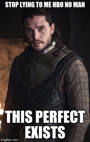 STOP LYING TO ME HBO NO MAN; THIS PERFECT EXISTS | image tagged in jon snow | made w/ Imgflip meme maker