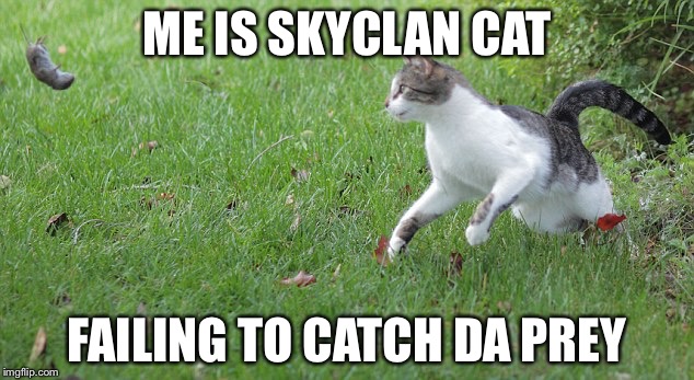 Warrior cat meme | ME IS SKYCLAN CAT; FAILING TO CATCH DA PREY | image tagged in warrior cat meme | made w/ Imgflip meme maker