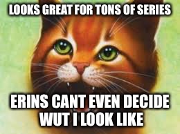Warrior cats Firestar | LOOKS GREAT FOR TONS OF SERIES; ERINS CANT EVEN DECIDE WUT I LOOK LIKE | image tagged in warrior cats firestar | made w/ Imgflip meme maker
