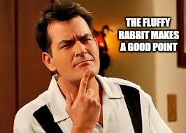 THE FLUFFY RABBIT MAKES A GOOD POINT | made w/ Imgflip meme maker