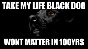black dog of depression | TAKE MY LIFE BLACK DOG; WONT MATTER IN 100YRS | image tagged in black dog of depression | made w/ Imgflip meme maker