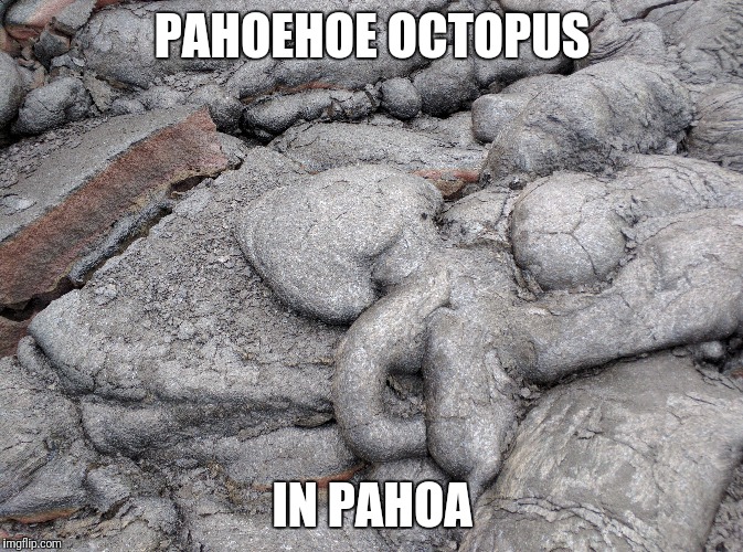 PAHOEHOE OCTOPUS IN PAHOA | made w/ Imgflip meme maker