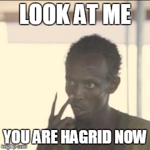 Look At Me | LOOK AT ME; YOU ARE HAGRID NOW | image tagged in memes,look at me | made w/ Imgflip meme maker