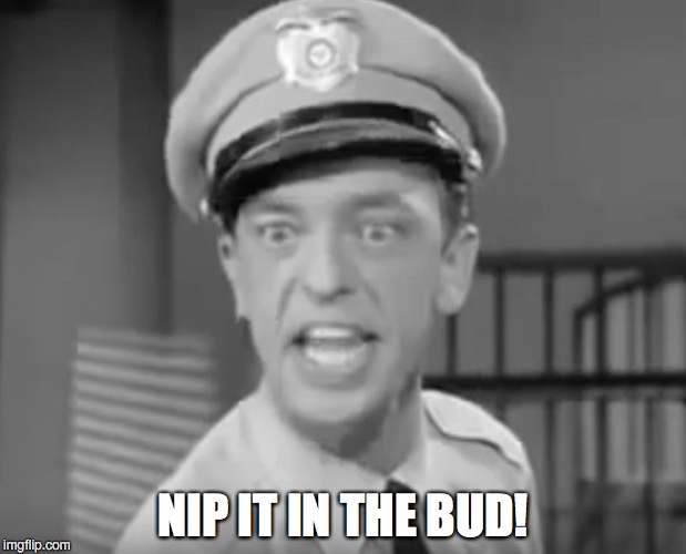Nip it in the bud! | NIP IT IN THE BUD! | image tagged in barney,fife,nip,bud | made w/ Imgflip meme maker