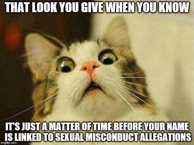 Scared Cat | THAT LOOK YOU GIVE WHEN YOU KNOW; IT'S JUST A MATTER OF TIME BEFORE YOUR NAME IS LINKED TO SEXUAL MISCONDUCT ALLEGATIONS | image tagged in memes,scared cat | made w/ Imgflip meme maker