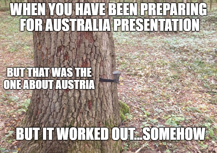 WHEN YOU HAVE BEEN PREPARING FOR AUSTRALIA PRESENTATION; BUT THAT WAS THE ONE ABOUT AUSTRIA; BUT IT WORKED OUT...SOMEHOW | image tagged in somehow worked out | made w/ Imgflip meme maker