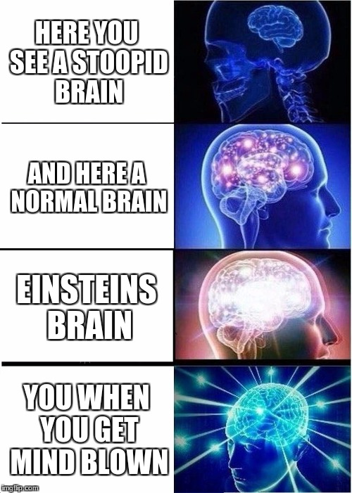 Expanding Brain | HERE YOU SEE A STOOPID BRAIN; AND HERE A NORMAL BRAIN; EINSTEINS BRAIN; YOU WHEN YOU GET MIND BLOWN | image tagged in memes,expanding brain | made w/ Imgflip meme maker