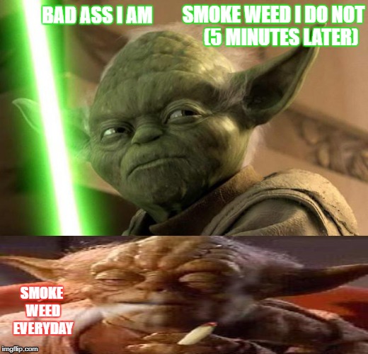 YODA ON WEED | SMOKE WEED I DO NOT    (5 MINUTES LATER); BAD ASS I AM; SMOKE WEED EVERYDAY | image tagged in yoda | made w/ Imgflip meme maker