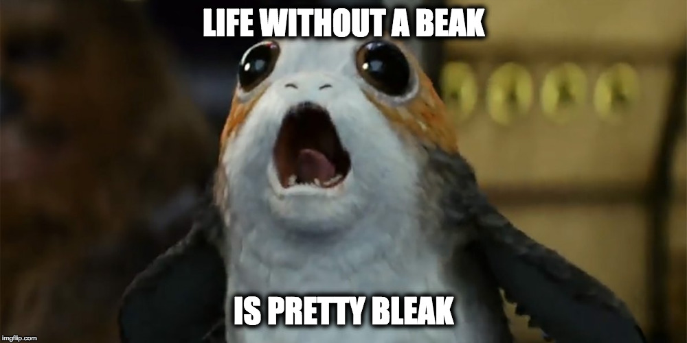 no beak | LIFE WITHOUT A BEAK; IS PRETTY BLEAK | image tagged in fepe,beak | made w/ Imgflip meme maker