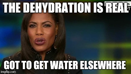 Omarosa | THE DEHYDRATION IS REAL; GOT TO GET WATER ELSEWHERE | image tagged in omarosa | made w/ Imgflip meme maker
