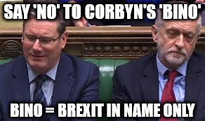 Say no to Corbyn's BINO | SAY 'NO' TO CORBYN'S 'BINO'; BINO = BREXIT IN NAME ONLY | image tagged in corbyn,bino,brexit in name only,starmer,momentum | made w/ Imgflip meme maker
