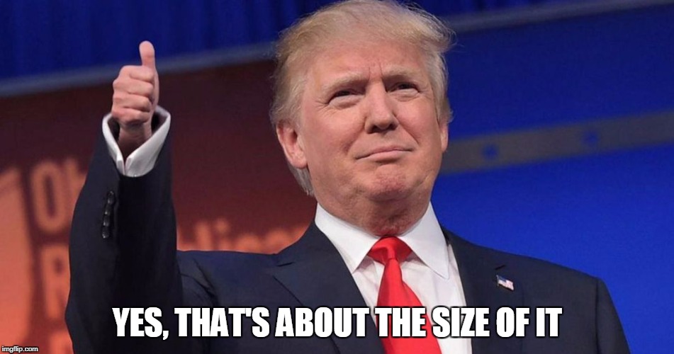 Donald tiny hands | YES, THAT'S ABOUT THE SIZE OF IT | image tagged in donald tiny hands | made w/ Imgflip meme maker