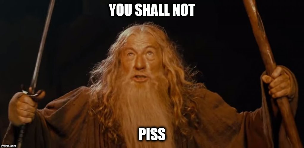 YOU SHALL NOT; PISS | image tagged in gandulf | made w/ Imgflip meme maker