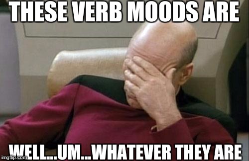 Captain Picard Facepalm Meme | THESE VERB MOODS ARE; WELL...UM...WHATEVER THEY ARE | image tagged in memes,captain picard facepalm | made w/ Imgflip meme maker