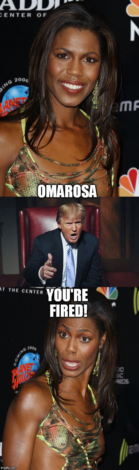 Omarosa is omatoasta | OMAROSA; YOU'RE FIRED! | image tagged in omarosa,donald trump,donald trump you're fired,donald drumpf,the apprentice,black lives matter | made w/ Imgflip meme maker